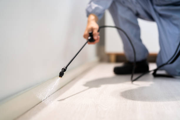 Licensed Mosquito Control service in Eustace, TX - Nex Pest Control