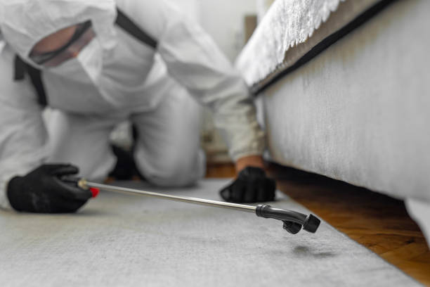 Professional Mosquito Control technician working in Eustace, TX