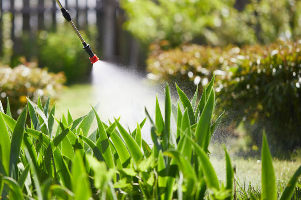 24/7 Emergency Mosquito Control experts in Eustace, TX