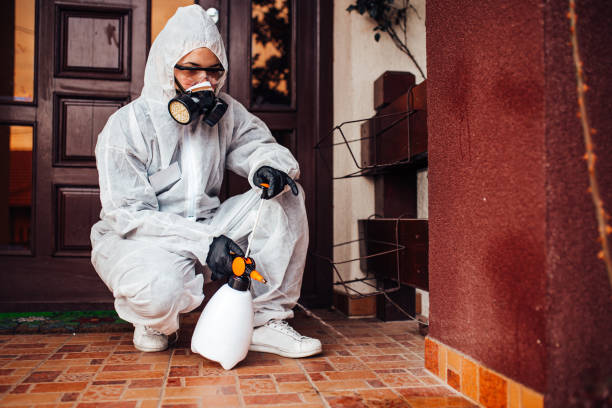 Reliable Mosquito Control contractor in Eustace, TX by Nex Pest Control